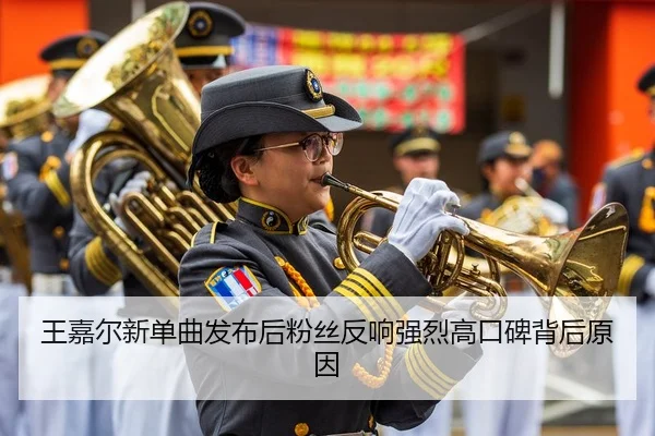 王嘉尔新单曲发布后粉丝反响强烈高口碑背后原因