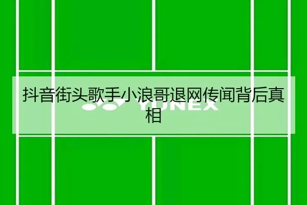 抖音街头歌手小浪哥退网传闻背后真相